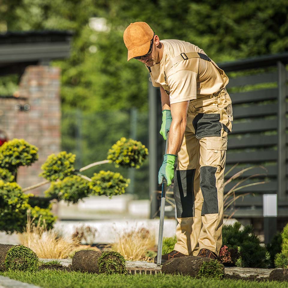 Entretien de jardin